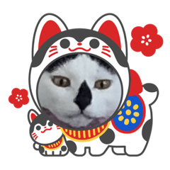 清兵衛さんちのネコ