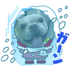 いろいろまんま2