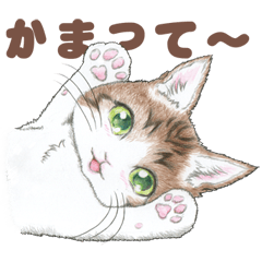 猫さんスタンプ（色鉛筆イラスト）
