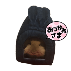 アメファジのグラ