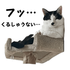 人間ちょろい！