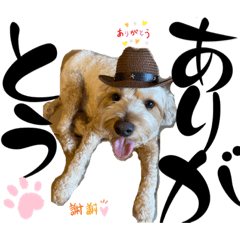 ザ・ルークスタンプ