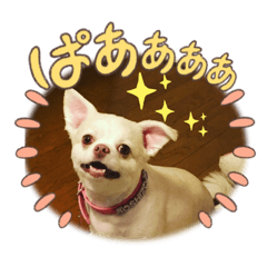 歳三愛に満ちたスタンプ2