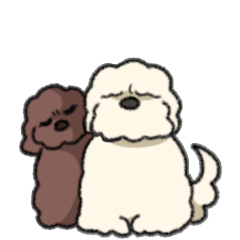 コフィー＆ルビー