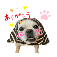 フレブルのおこめさん　色々