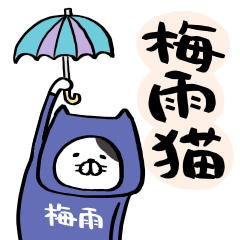 梅雨猫