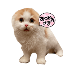 おもちさんのスタンプ1