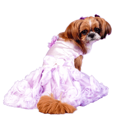 ラインちゃんのスタンプです。