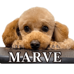 MARVE