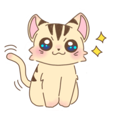 とらやのとらきち