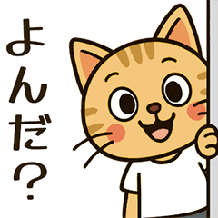 なんだ猫か01