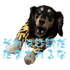 さくら＆ミク〜特殊ver〜