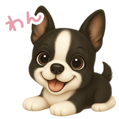 わんで伝えるボストンテリア JP