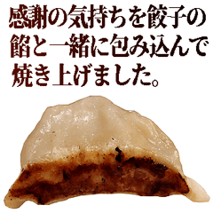 毎日使える面白餃子