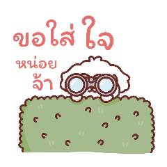 Pookpik Maltese dog 2