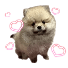 ぽて丸スタンプ(幼少期)