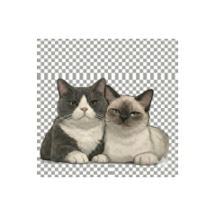 MilkTea & PanPan Daily Replies