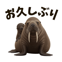 オットセイとセイウチの関西弁挨拶スタンプ