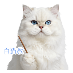 ひれ伏せ！ツンデレ白猫様の上から目線