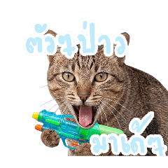 Sticker funny cat 1