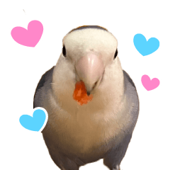 フリーダムボーイ「レオ」の日常!