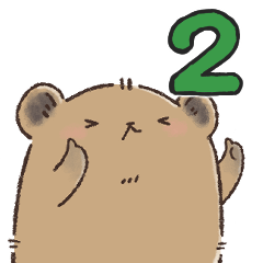 ぴかこたん2