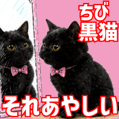 ちび黒猫きょたろう　44　それあやしい