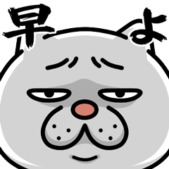 ウザ～～い猫★圧がすごい