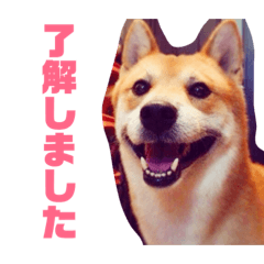 たませち喜三郎 弍