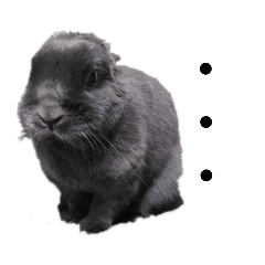 うさぎのひねりん２