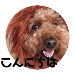 トイプー☆毎日使えるシンプルスタンプ②