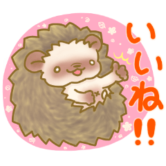 ハリネズミのブラウニー