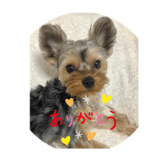 ルークはいつもスマイル*☻*