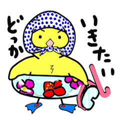 媚びないヒヨコ5