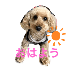 我が家のミントのスタンプ