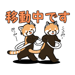 レッサーパンダは絶滅危惧種です