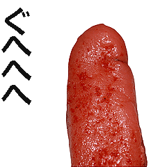 キモ激しく動く！明太子