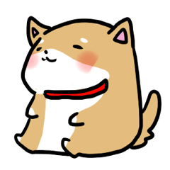 柴犬のしーたん