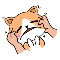 ファミリーハウスキャット気になるとムーデ