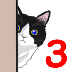 ハチワレねこのシュー３