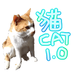 リアル 猫さん 1.0