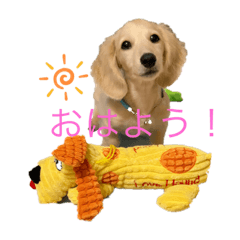 リズとKダックスラルとMダックスルア