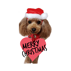 トイプードル　3姉妹ももスタンプ②