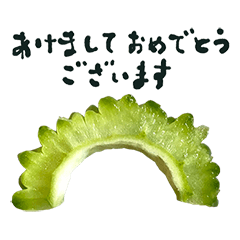 ゴーヤ　書道　年賀状　2021