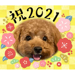 メルちゃん！2021！あけおめ！