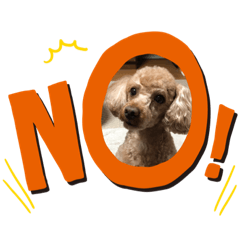 ラッキー&にゃあさん