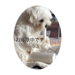 くぅーすけスタンプ