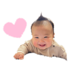 うちの愛しのここたん