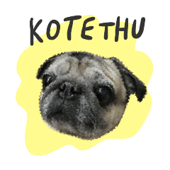 ぱぐのこてつくん