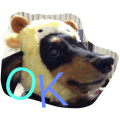 ランチのスタンプ